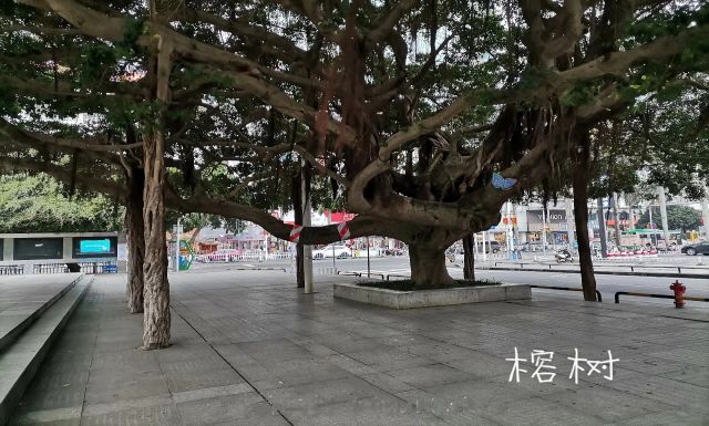 旅游卡线路二十三：浪漫涠洲岛双飞5日游